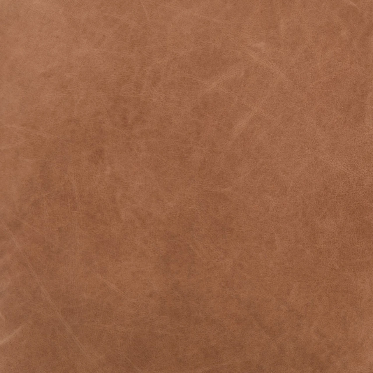 Taryn Chaps Saddle Leather Chair 14 Taryn Chaps Saddle Leather Chair - Image 12