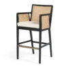 Antonia Cane Brushed Ebony Bar Stool -Famous Furniture Shop 109035 001 1 53198.1614306945