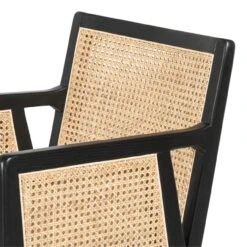 Antonia Cane Brushed Ebony Bar Stool -Famous Furniture Shop 109035 001 2 84791.1614306954