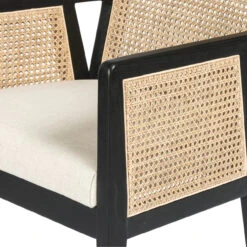 Antonia Cane Brushed Ebony Counter Stool -Famous Furniture Shop 109035 002 7 38315.1614307474