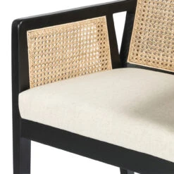 Antonia Cane Brushed Ebony Counter Stool -Famous Furniture Shop 109035 002 8 88924.1614307472