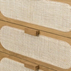 Allegra Woven Cane 5 Drawers Oak Tall Dresser -Famous Furniture Shop 109721 001 DET 4 09726.1596829608