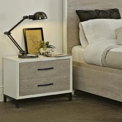 Modern Gray And White 2 Drawers Nightstand -Famous Furniture Shop 219 BR RS01 210SB 350 u crop 001 14428.1450377014