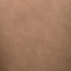 Dexter Palermo Drift Leather Chair -Famous Furniture Shop 224908 013 DET 4 52333.1671063964