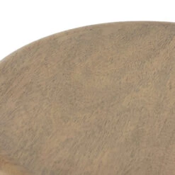 Zach Burnished Parawood End Table 17 Zach Burnished Parawood End Table -Famous Furniture Shop 226636 001 DET 4 64679.1638014490