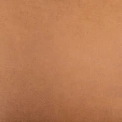 Monza Heritage Camel Dining Chair -Famous Furniture Shop 226725 001 7 19469.1618522510