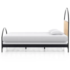 Natalia Iron And Cane King Platform Bed -Famous Furniture Shop 226969 001 SID 1 45240.1626724448