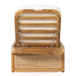 Merit Teak Wood & Woven Cane Outdoor Chaise Lounge -Famous Furniture Shop 229407 001 BCK 1 57975.1680107264