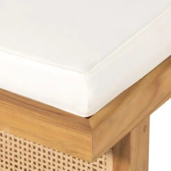 Merit Teak Wood & Woven Cane Outdoor Chaise Lounge -Famous Furniture Shop 229407 001 DET 6 56875.1680107271