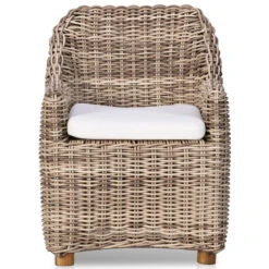 Messina Outdoor Dining Arm Chair -Famous Furniture Shop 233671 002 FRT 1 11157.1673660449