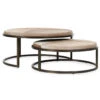 Hayward Blonde Hide Set Of 2 Nesting Coffee Tables -Famous Furniture Shop 3132277D 4808 4F1C 930C 0F8647134FA7 1 201 a 62676.1713970130