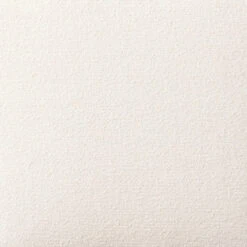 Benton Fayette Cloud Dining Chair -Famous Furniture Shop 4290FA21 38F1 44DA 8EFF DB841BA43276 1 201 a 40920.1694618932