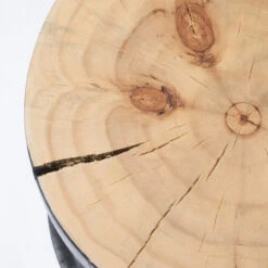 Inez Natural Black Pine End Table -Famous Furniture Shop CBSH 022 14 74550.1617910852