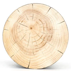 Inez Natural Black Pine End Table -Famous Furniture Shop CBSH 022 5 53719.1617910836