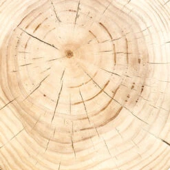 Inez Natural Black Pine End Table -Famous Furniture Shop CBSH 022 6 47671.1617910837