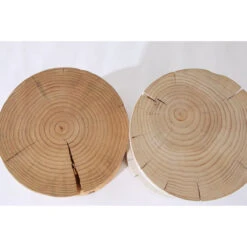 Aliza Natural Pine End Table -Famous Furniture Shop CBSH 024 10 38992.1617911094