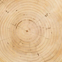 Aliza Natural Pine End Table -Famous Furniture Shop CBSH 024 6 45709.1617911114