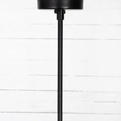 Pellman Clear Glass Globe Chandelier - Flat Black -Famous Furniture Shop CCAR 66B 10 31457.1618520338