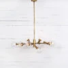 Sputnik Clear Glass Globe Chandelier - Matte Brass -Famous Furniture Shop CCAR 66 PRM 5 65463.1513797853