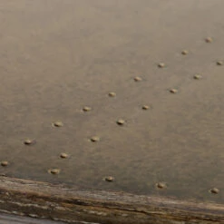 Industrial Spider Leg Brass Clad Round Dining Table 60" 12 Industrial Spider Leg Brass Clad Round Dining Table 60" -Famous Furniture Shop CIMP 168 DET 1 16281.1570218638