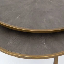 Hollywood Modern Shagreen Nesting Coffee Tables - Brass -Famous Furniture Shop VBEN 018 DET 3 61838.1504833398
